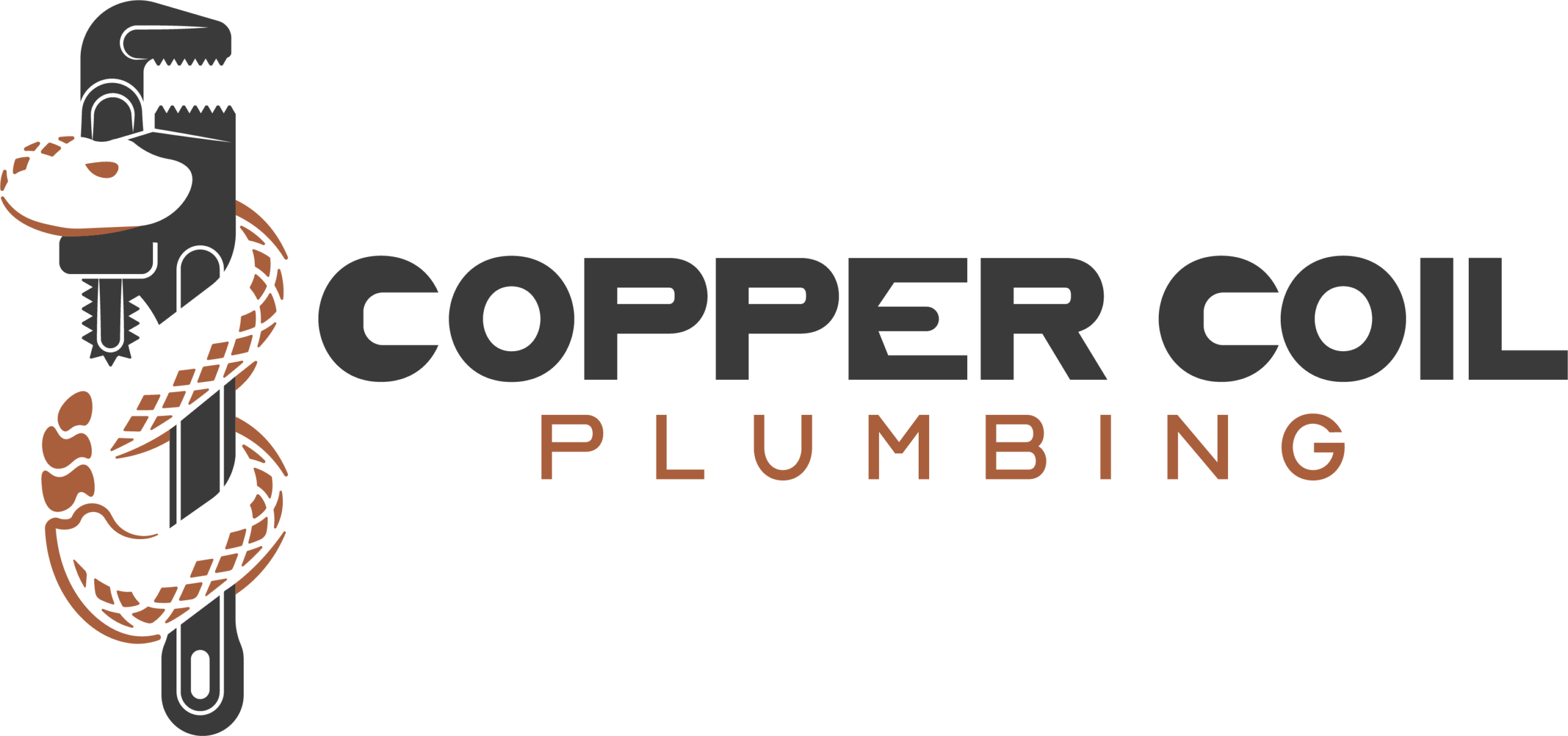 CCP Letterhead for bright backgrounds design